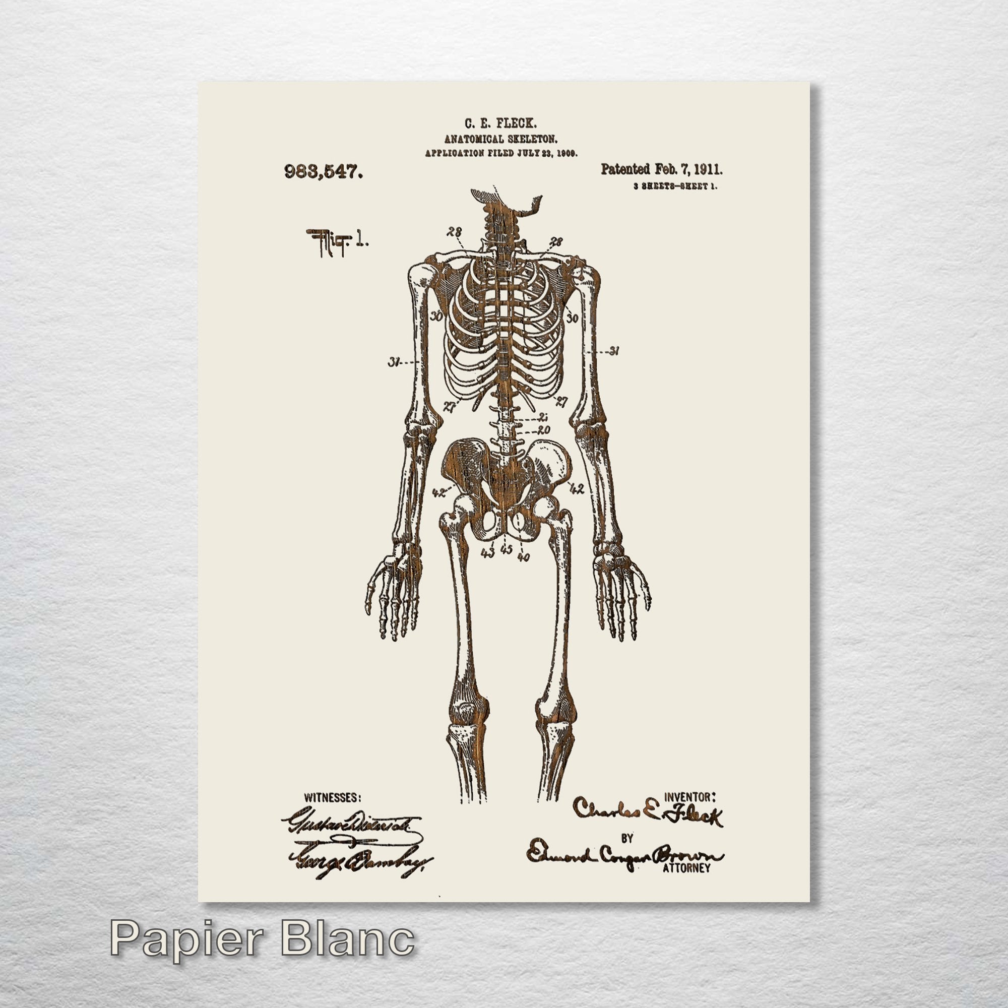 Anatomical Skeleton - Patent on Wood