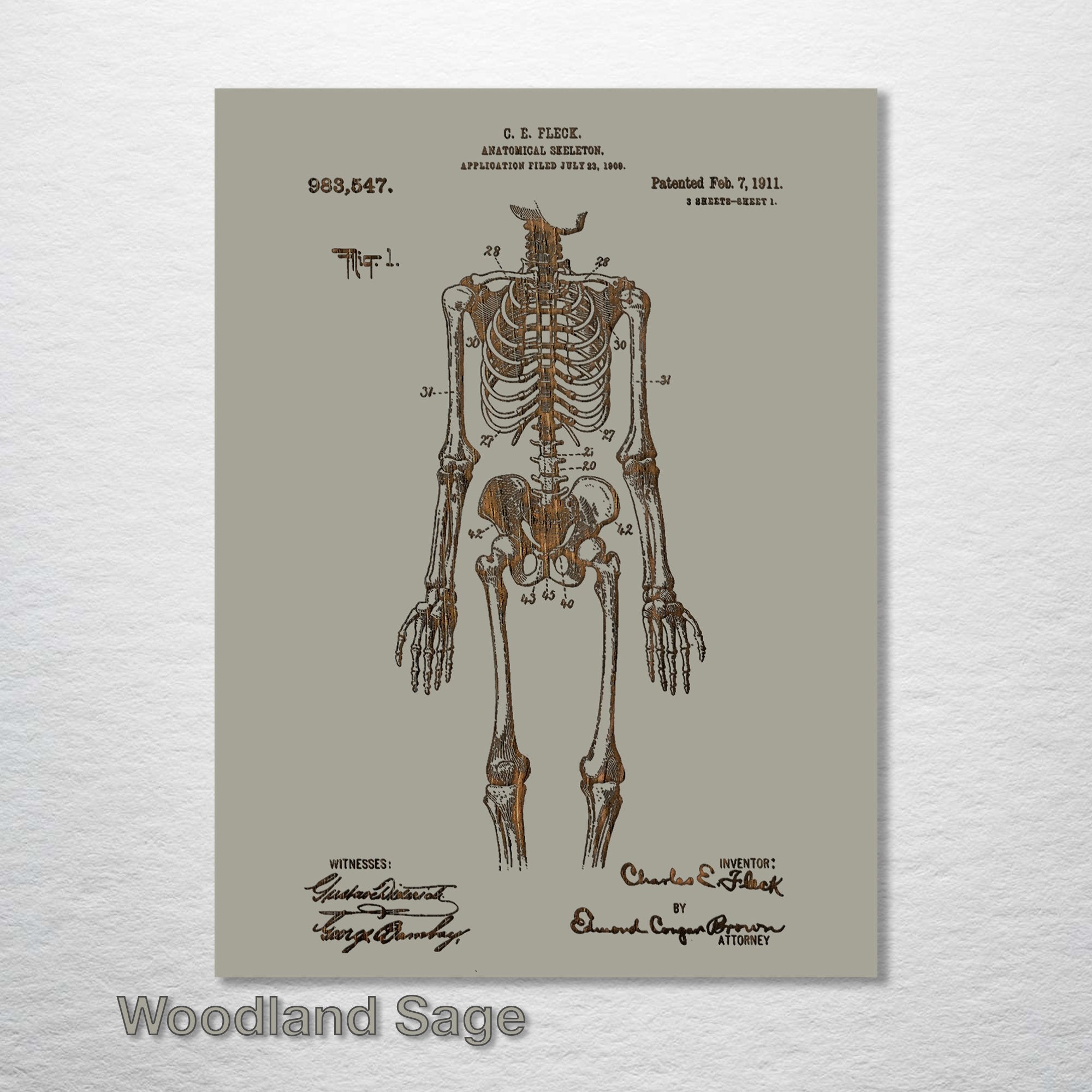Anatomical Skeleton - Patent on Wood