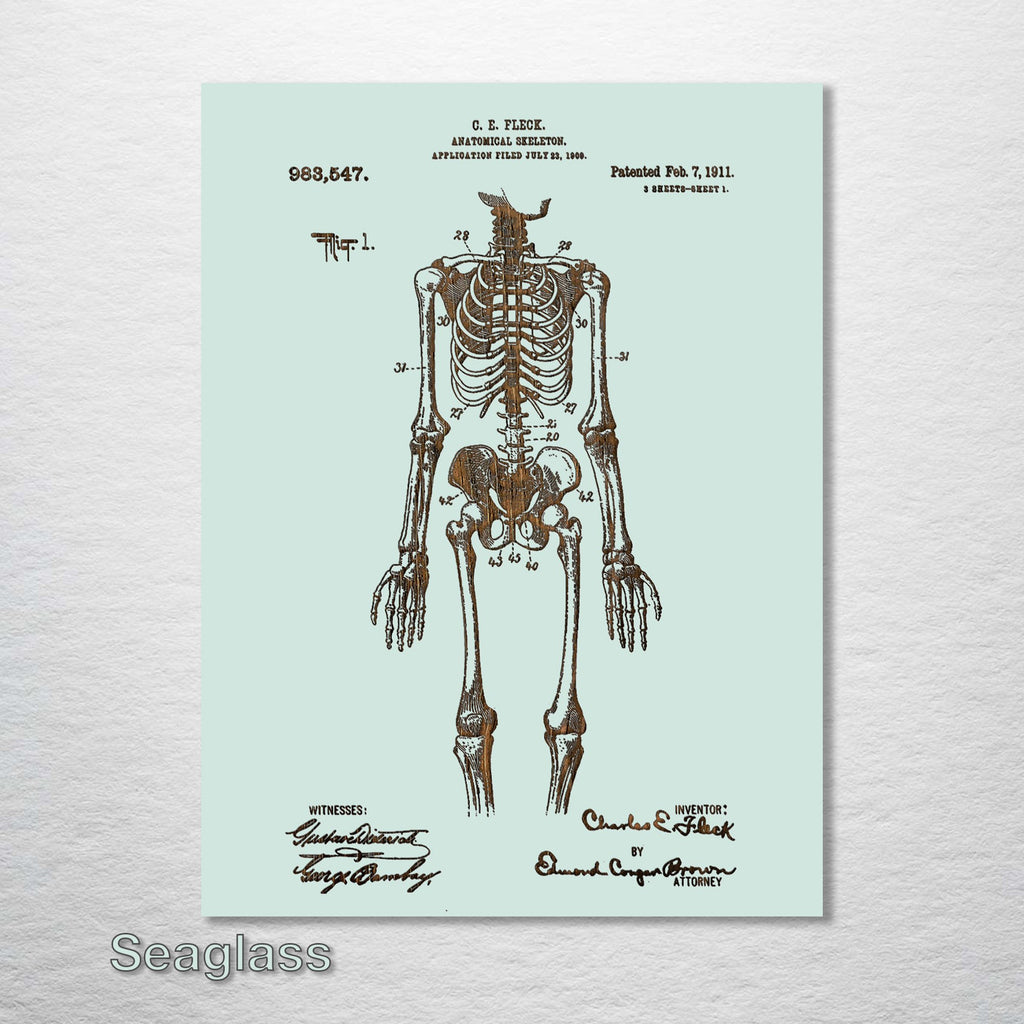 Anatomical Skeleton - Patent on Wood
