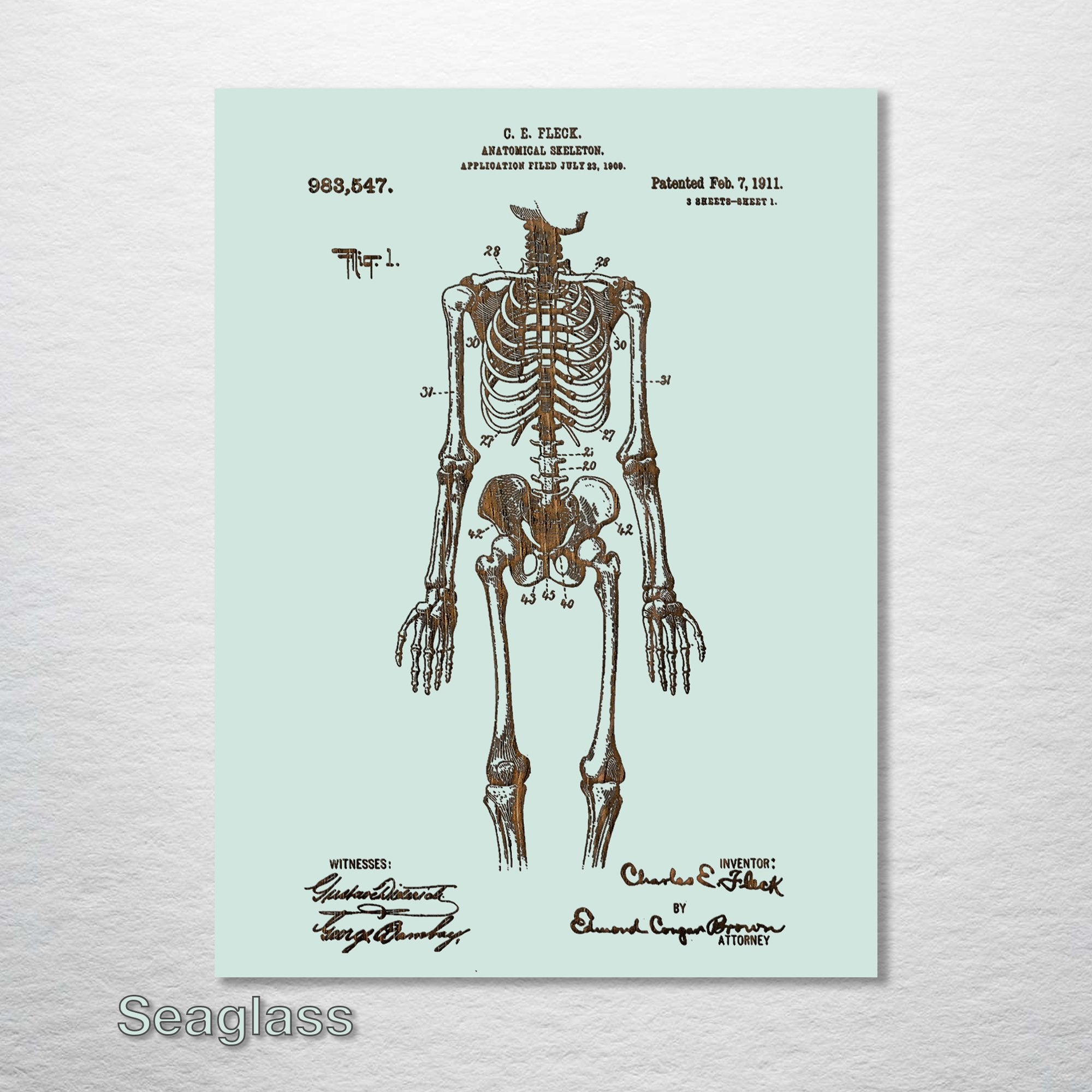 Anatomical Skeleton - Patent on Wood