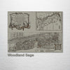 Saint Augustine, FL 1764 - Historic Map on Wood