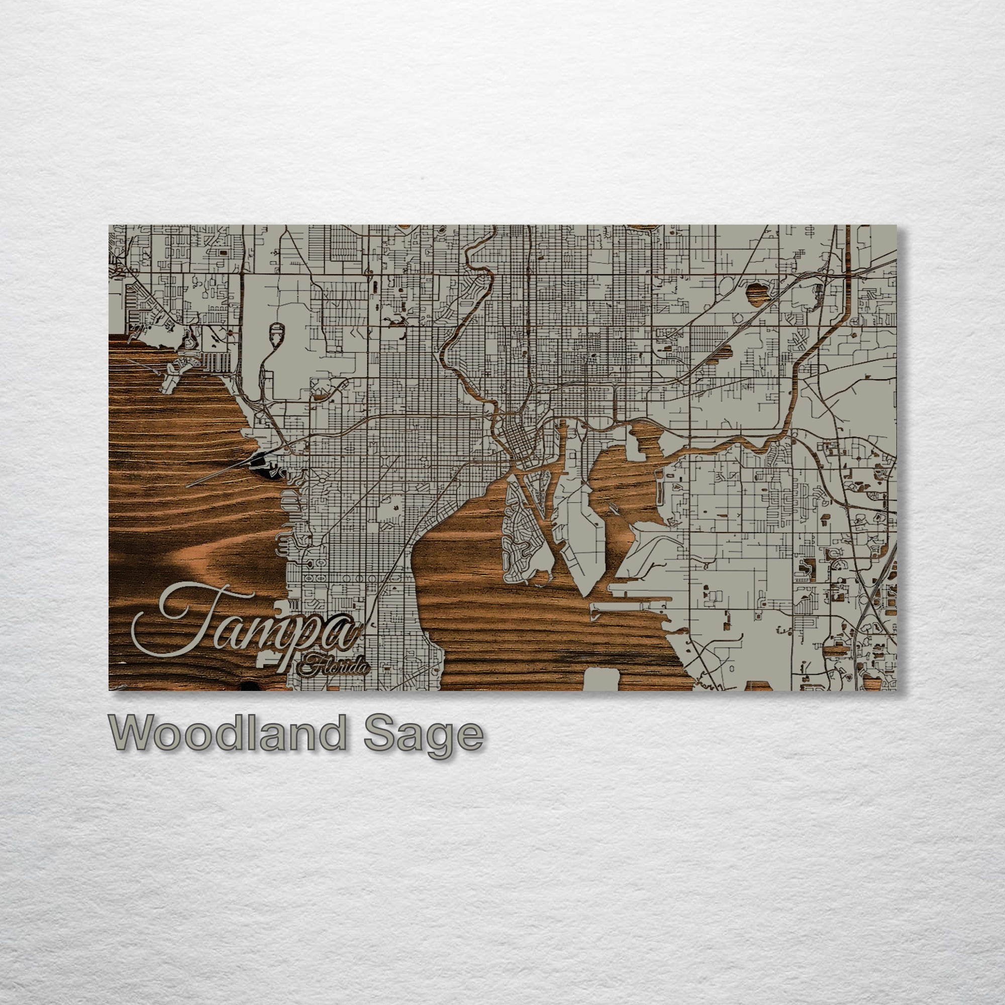 Tampa, FL - Street Map on Wood