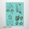Baseball Equipment - Four Patent Collage on Wood