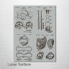 Baseball Equipment - Four Patent Collage on Wood