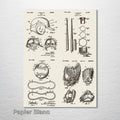 Baseball Equipment - Four Patent Collage on Wood