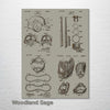 Baseball Equipment - Four Patent Collage on Wood