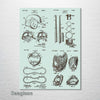 Baseball Equipment - Four Patent Collage on Wood