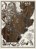 Defense of Savannah, GA Historic Laser Etched Map 1864