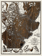 Defense of Savannah, GA Historic Laser Etched Map 1864